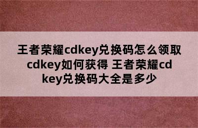 王者荣耀cdkey兑换码怎么领取cdkey如何获得 王者荣耀cdkey兑换码大全是多少